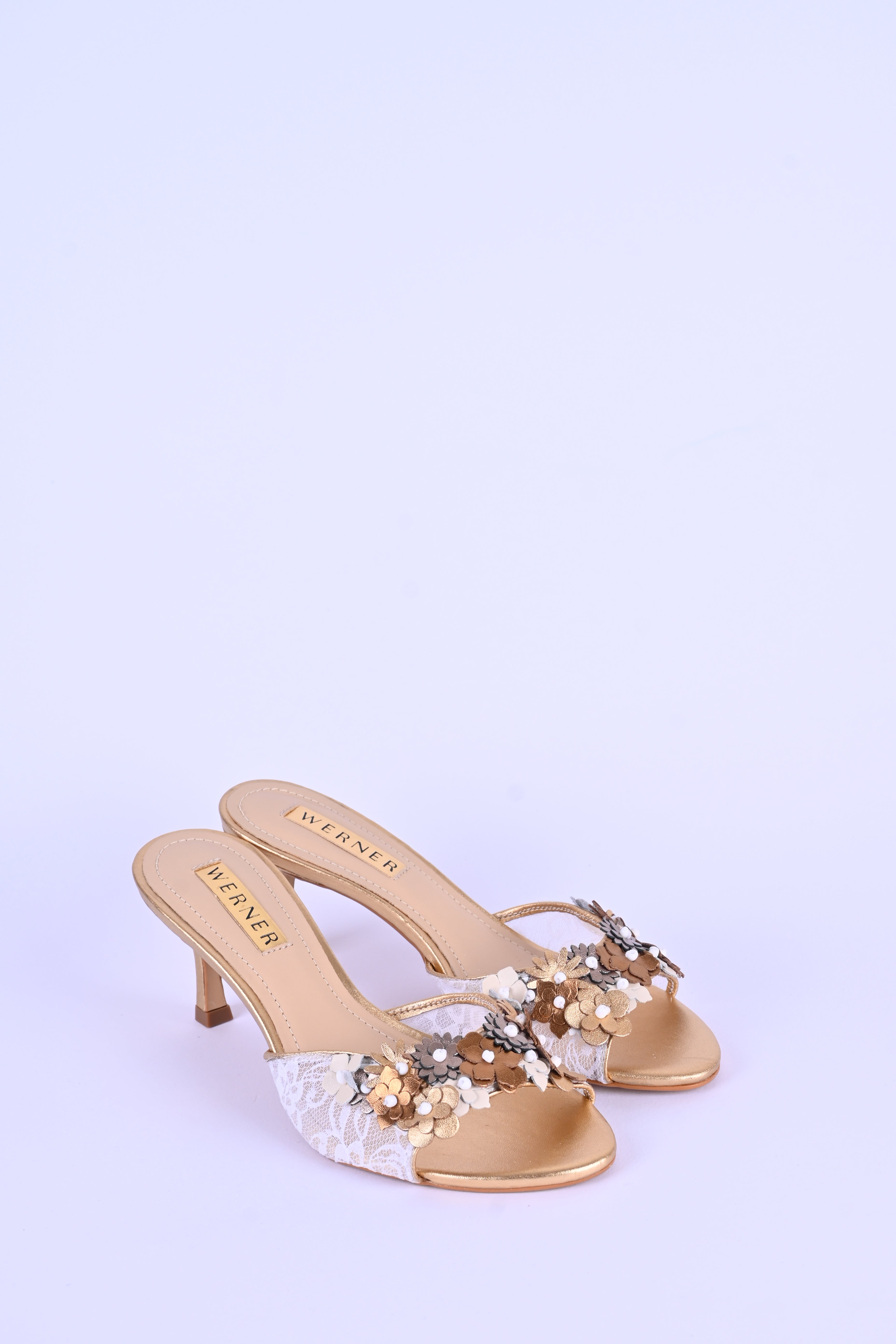 GOLDWHITE FLOWER